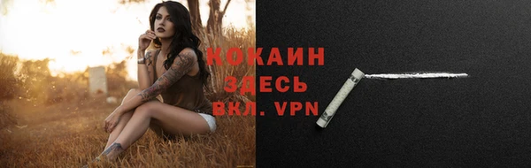 не бодяженный Туринск