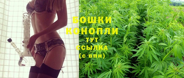 стафф Богородск