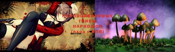 mdma Богородицк